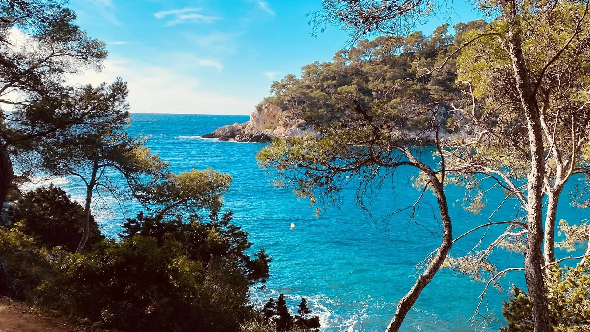 Hébergement de vacances Lodge entre ciel et mer Saint-Cyr-sur-Mer France